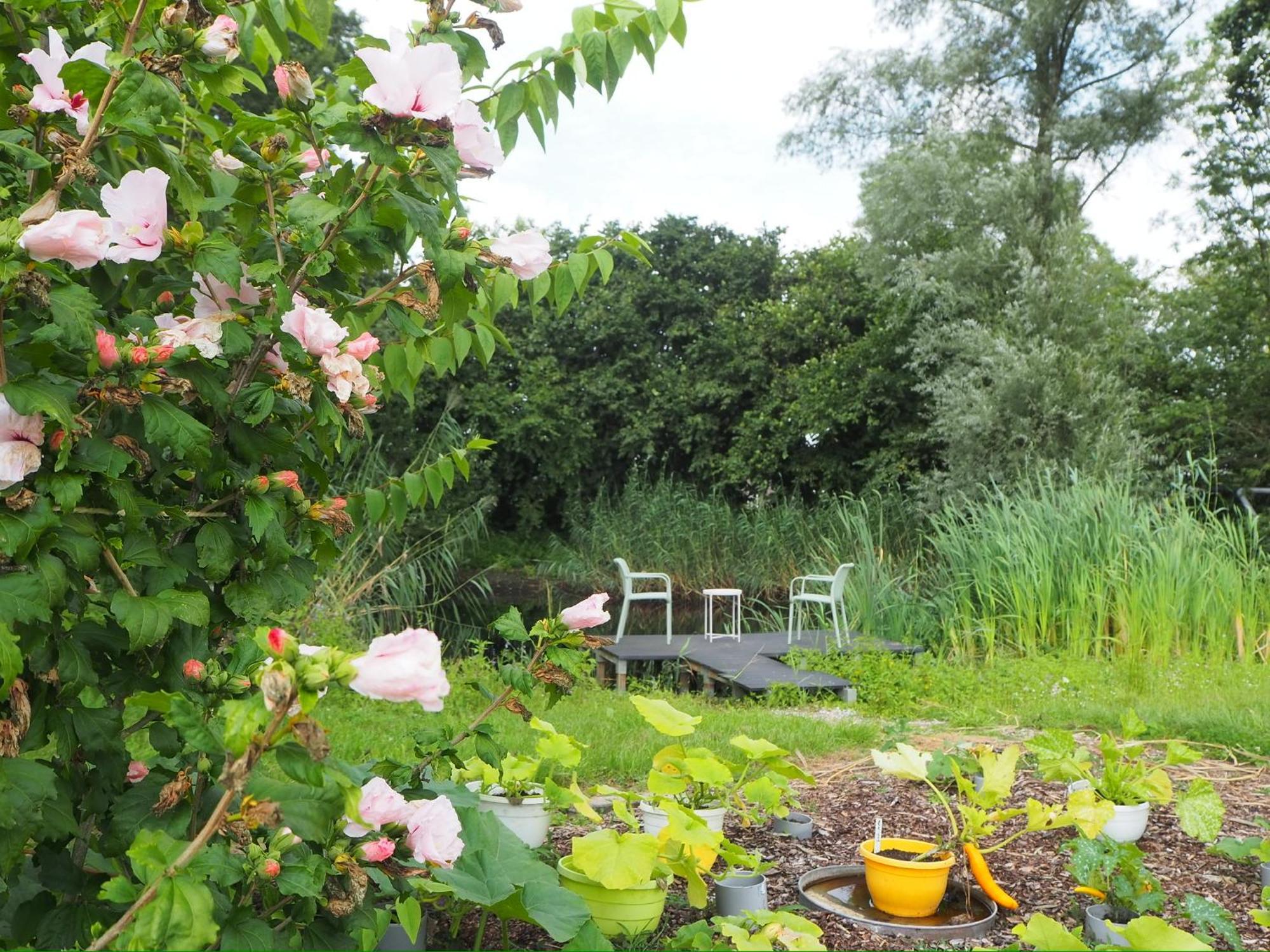 Bnb De Peelvos Deurne Exterior photo