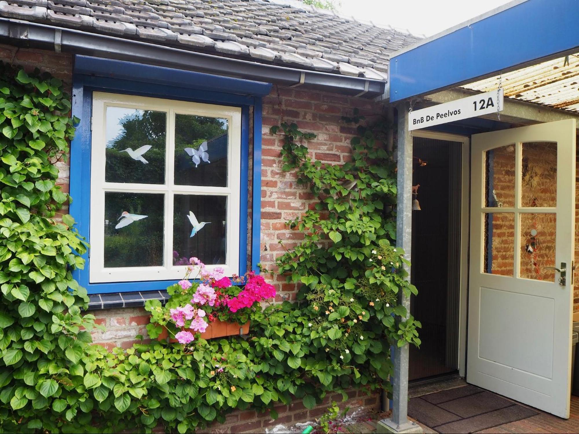 Bnb De Peelvos Deurne Exterior photo